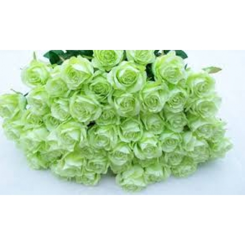 One of a Kind - 36 Stems In Bouquet